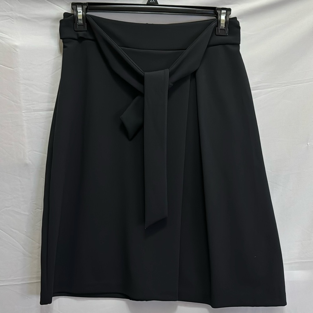 Dress Skirt NWOT
